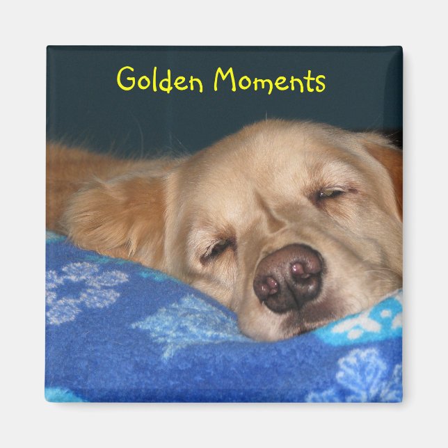 Name Your Magnet (Front)