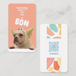 NameCard 5 Business Card