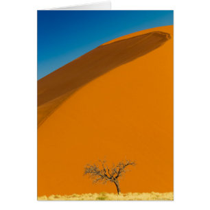 Namib Naukluft National ParkNote Card