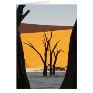 Namib-Naukluft Park, Sossusvlei   Dead Vlei