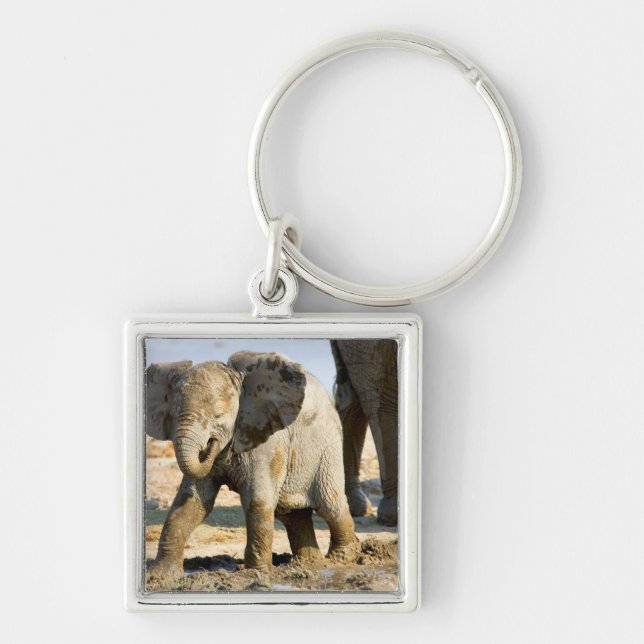 Namibia, Africa: Baby African Elephant Key Ring (Front)