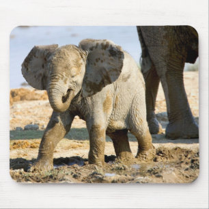 Namibia, Africa: Baby African Elephant Mouse Pad
