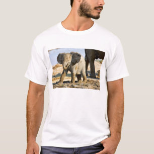 Namibia, Africa: Baby African Elephant T-Shirt