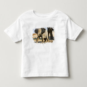 Namibia, Africa: Baby African Elephant Toddler T-Shirt