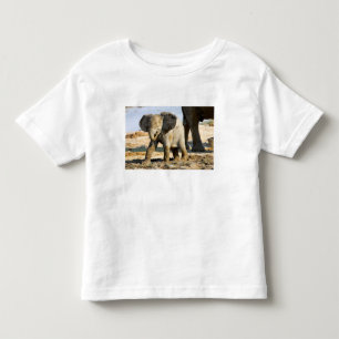 Namibia, Africa: Baby African Elephant Toddler T-Shirt