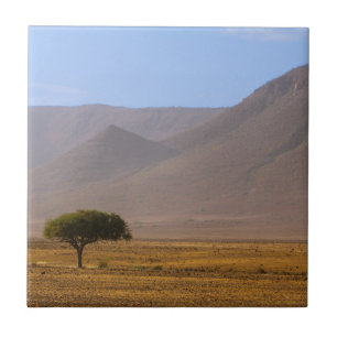 Namibia Africa Desert Scenery Landscape Nature Ceramic Tile