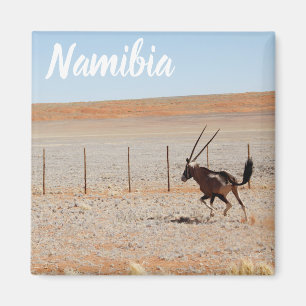 Namibia Africa Landscape Namibian Desert Oryx Magnet