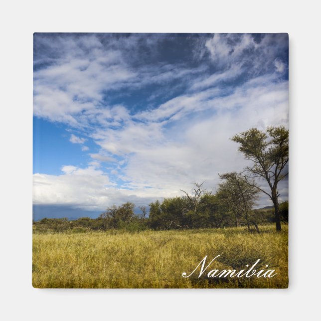 Namibia Africa Landscape Namibian Nature Bushveld Magnet (Front)