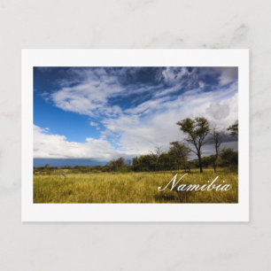 Namibia Africa Landscape Namibian Nature Bushveld Postcard