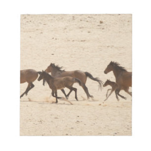 Namibia, Aus. Group of running wild horses on Notepad