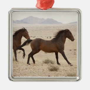 Namibia, Aus. Wild horses running on the Namib Metal Ornament