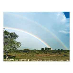 Namibia Double Rainbow Photo Print