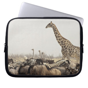 Namibia, Etosha National Park. A lone giraffe Laptop Sleeve
