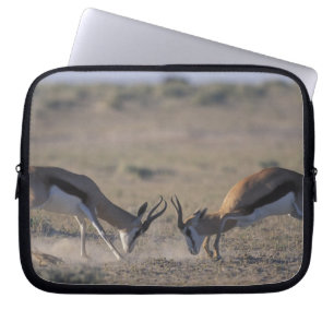 Namibia, Etosha National Park, Two male Laptop Sleeve