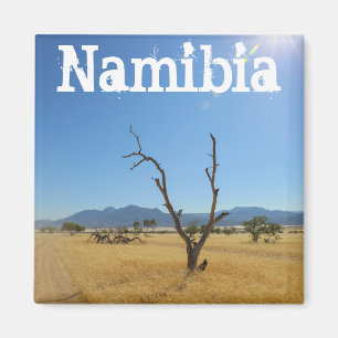 Namibia Marienfluss Savannah Landscape Nature Magnet