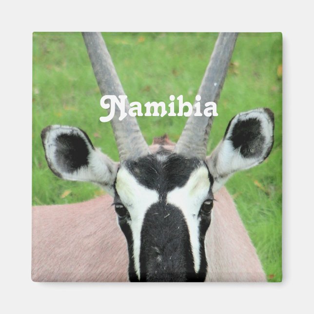 Namibia Oryx Magnet (Front)