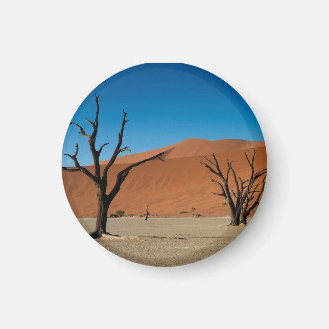 Namibia - Petrified trees at Dead Vlei magnet (Front)