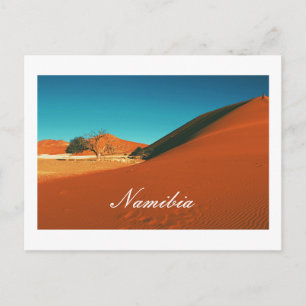 Namibia Sand Dunes Landscape Sossusvlei Postcard