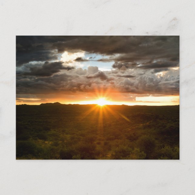 Namibia - Sunset over the plains postcard (Front)