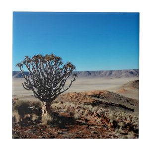 Namibia Tirool Namib Desert Landscape Kokerboom Ceramic Tile