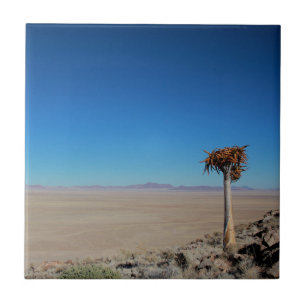 Namibia Tirool Namib Desert Landscape Kokerboom Ceramic Tile