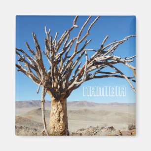 Namibia Tirool Namib Desert Landscape Kokerboom Magnet