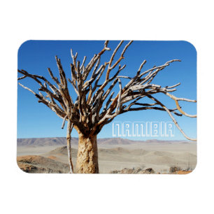 Namibia Tirool Namib Desert Landscape Kokerboom Magnet