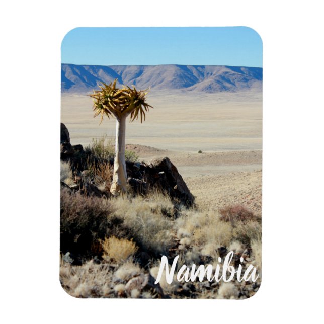 Namibia Tirool Namib Desert Landscape Kokerboom Magnet (Vertical)