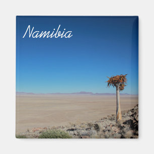 Namibia Tirool Namib Desert Landscape Kokerboom Magnet