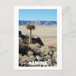 Namibia Tirool Namib Desert Landscape Nature Postcard