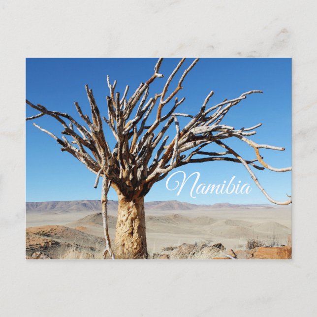 Namibia Tirool Namib Desert Landscape Nature Postcard (Front)