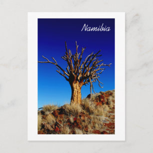 Namibia Tirool Namib Desert Landscape Nature Postcard