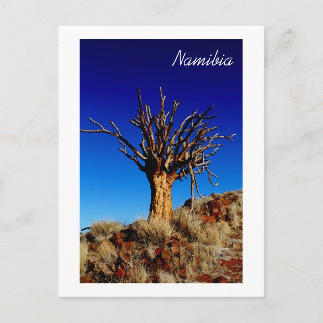 Namibia Tirool Namib Desert Landscape Nature Postcard (Front)