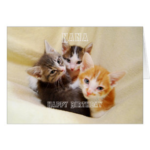 Nana, Warm and Fuzzy Kitten Trio Happy Birthday