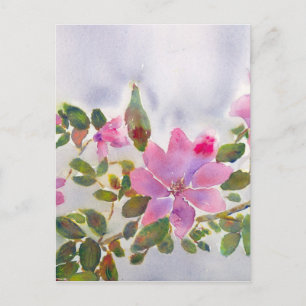 Nana's Roses Postcard