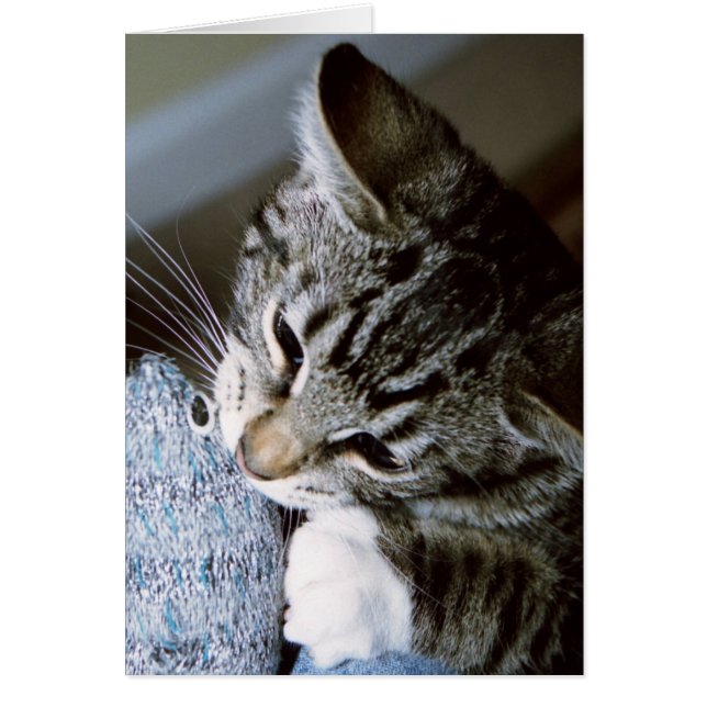 nancy with mouse (Front)