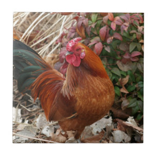 Nankin Bantam Chicken Ceramic Tile