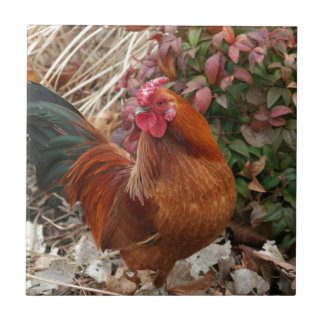 Nankin Bantam Chicken Ceramic Tile