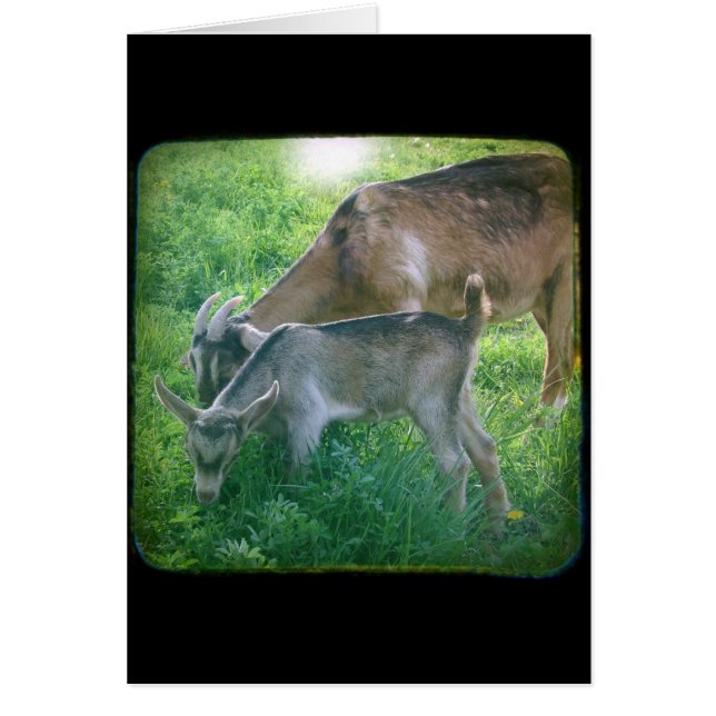 Nanny and KId (Front)