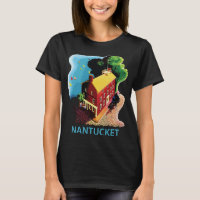Nantucket Red House Night Blue Travel