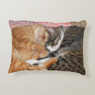 Nap Buddies Decorative Cushion