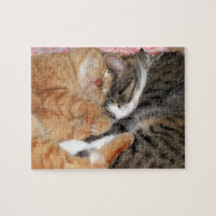 Nap Buddies Jigsaw Puzzle