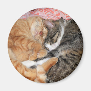 Nap Buddies Magnet