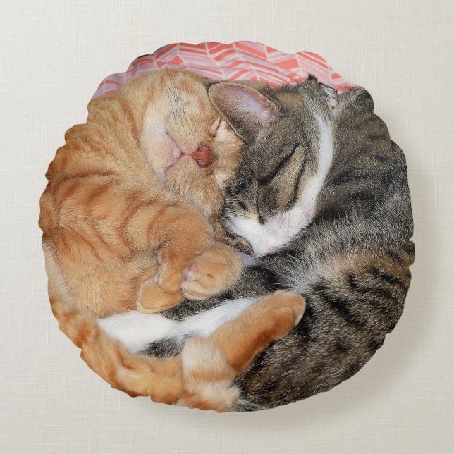 Nap Buddies Round Cushion (Front)
