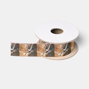Nap Buddies Satin Ribbon