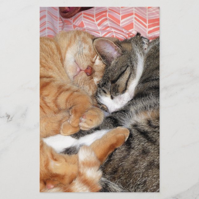 Nap Buddies Stationery (Front)