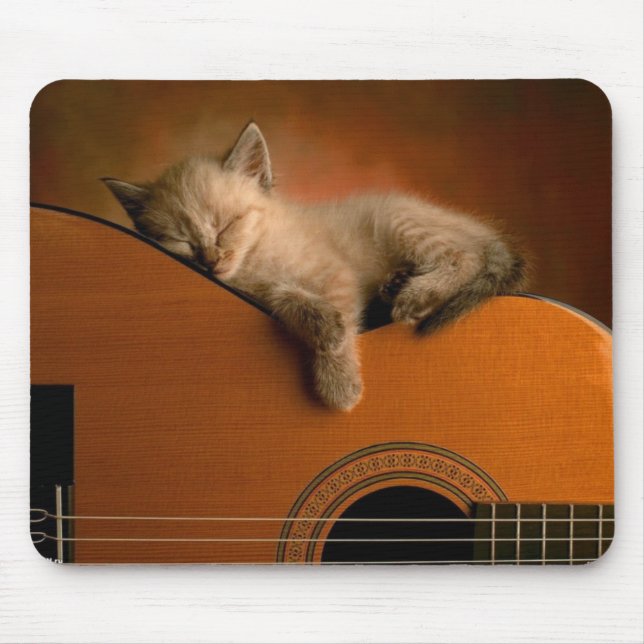 Nap of the kitten on guitar mouse pad (Front)