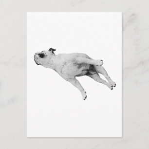Nap, Postmarked Postcard