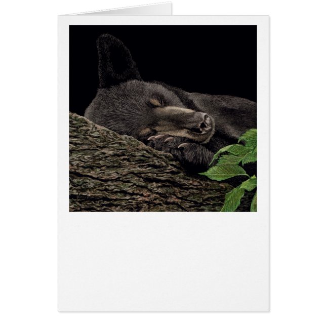 "Nap Time" Bear Card (Front)