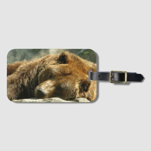 Nap Time Bear Luggage Tag